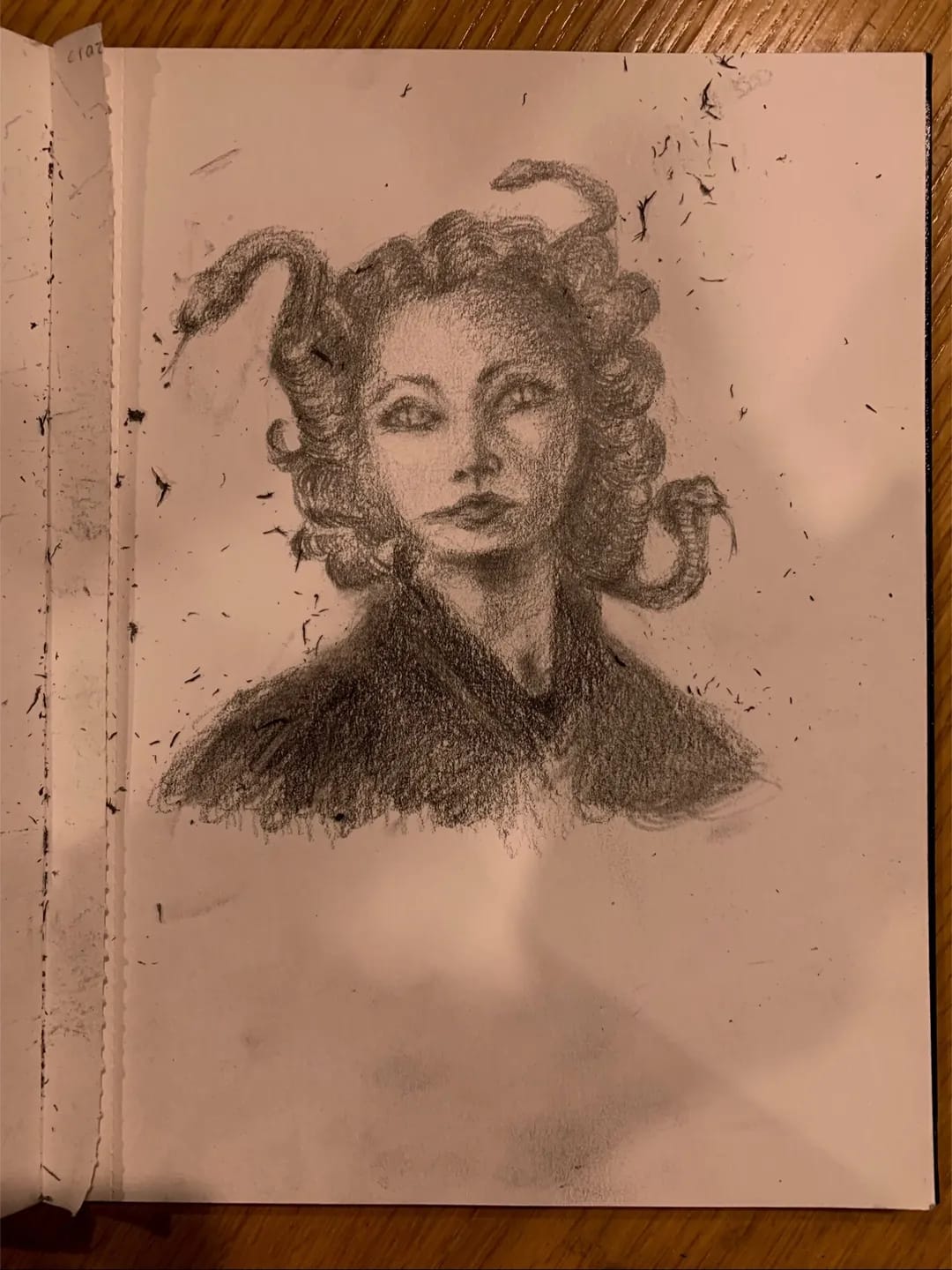 Custom Graphite Drawing Commission